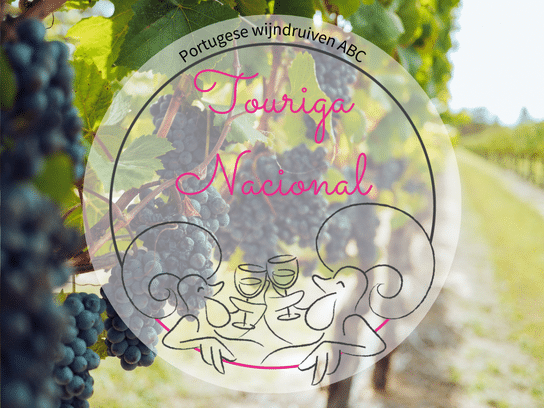 Touriga Nacional - Portugese wijndruiven ABC