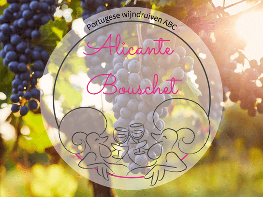 Alicante Bouschet - Portugese wijndruiven ABC