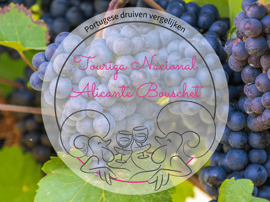 Touriga Nacional vs Alicante Bouschet - Portugese druiven vergelijken