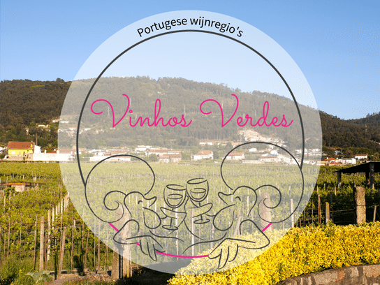Wijngaarden in de groene wijnregio Vinhos Verdes in het noordwesten van Portugal